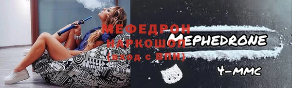 индика Елизово