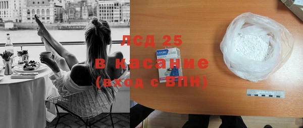 индика Елизово