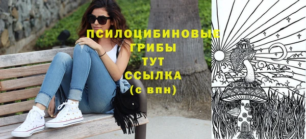 индика Елизово