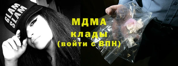 индика Елизово