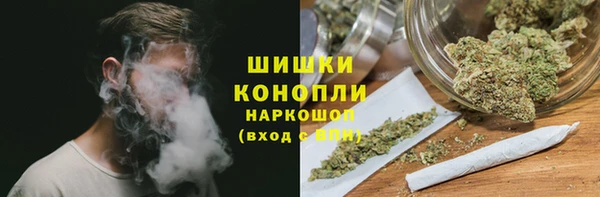 индика Елизово