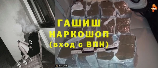 индика Елизово