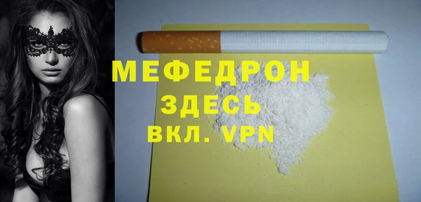 индика Елизово