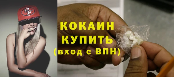 2c-b Ельня