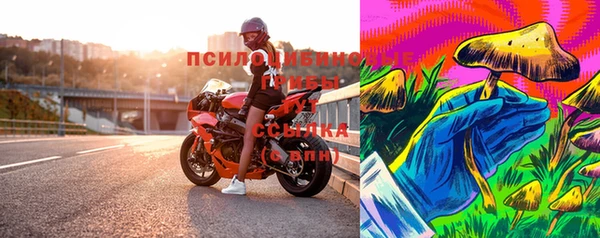 СК Елабуга