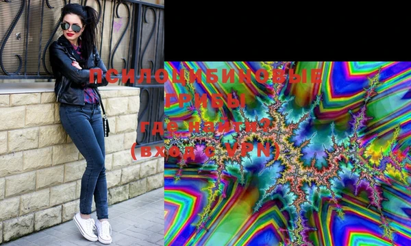 индика Елизово