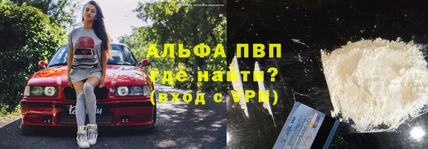индика Елизово