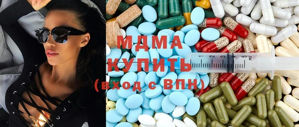 индика Елизово