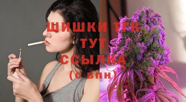 индика Елизово