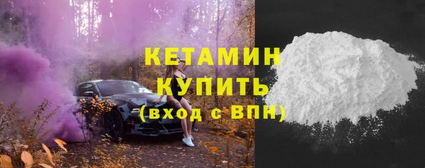 индика Елизово