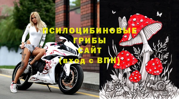 индика Елизово