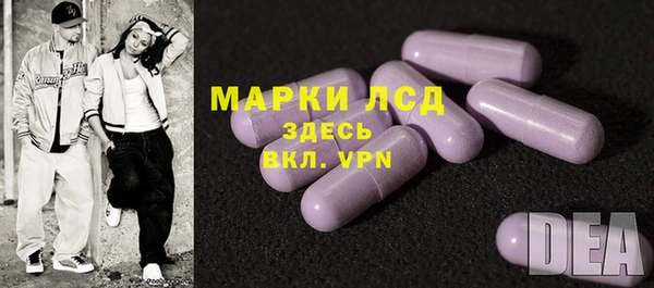 СК Елабуга