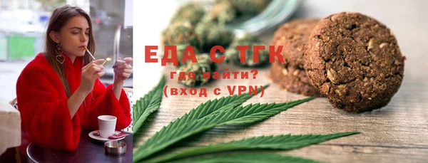 индика Елизово