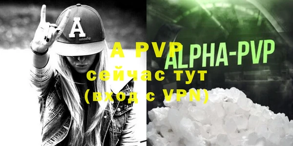 2c-b Ельня