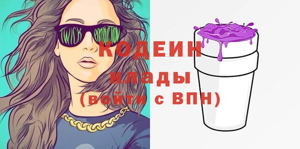 индика Елизово