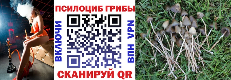 Купить закладки  Можайск  Галлюциногенные грибы Magic Shrooms 